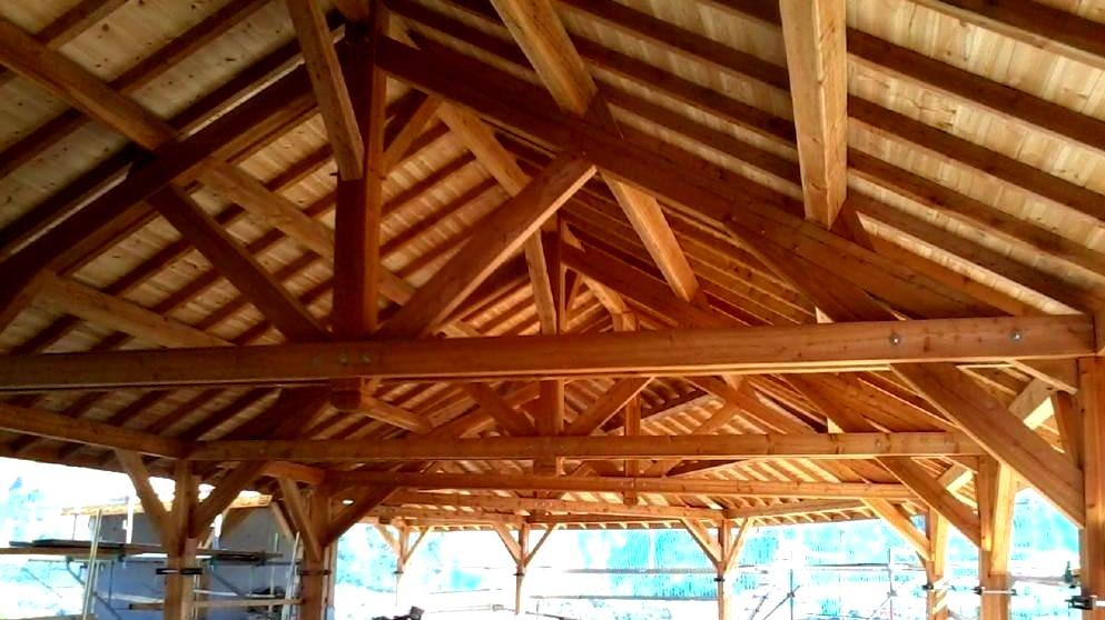 Charpente traditionnelle Hautes-Alpes