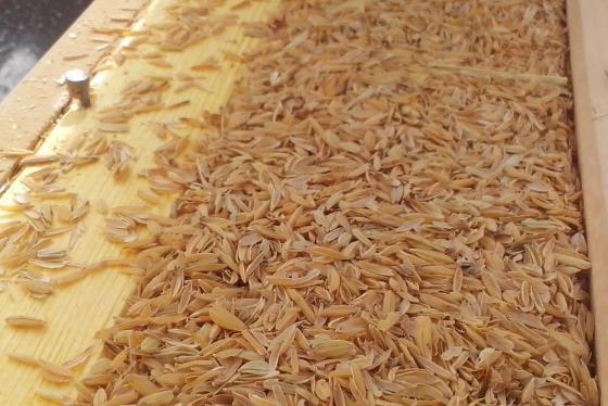 Travaux d'isolation écologique Hautes-Alpes