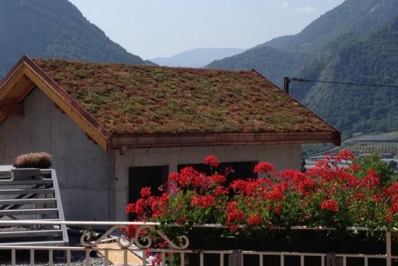 La couverture en tôle d'acier prélaqué