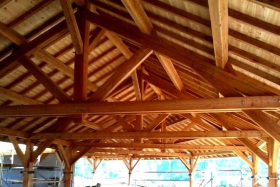 Charpente traditionnelle Hautes-Alpes